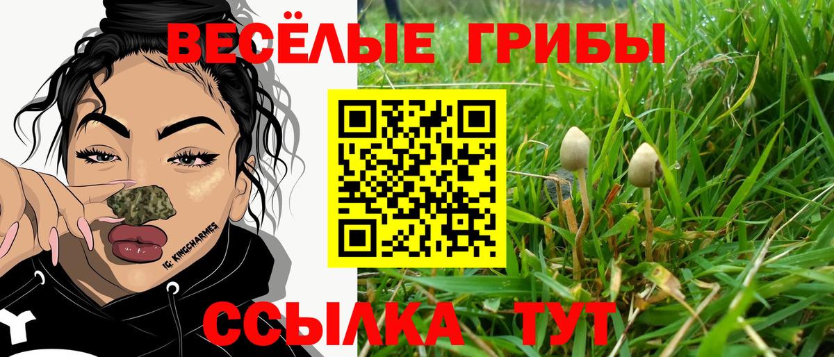Псилоцибиновые грибы прущие грибы Прокопьевск